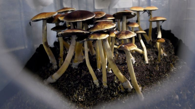Know all the benefits of magic mushrooms Canada post thumbnail image
